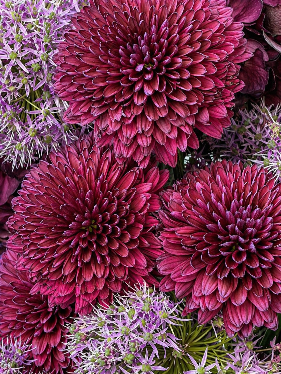 SEREIN BLOOM