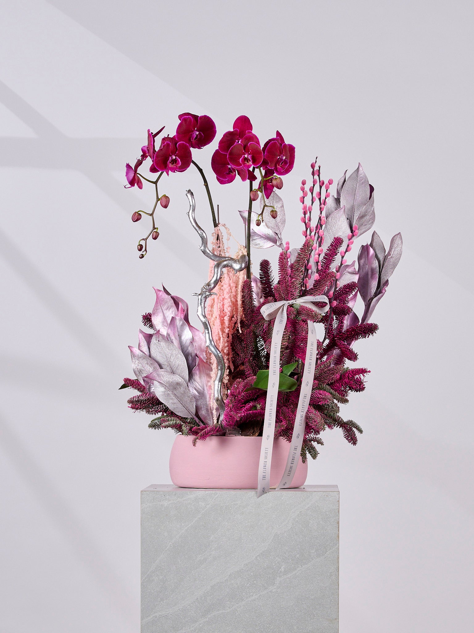 SUGARFROST JINGLEPOP