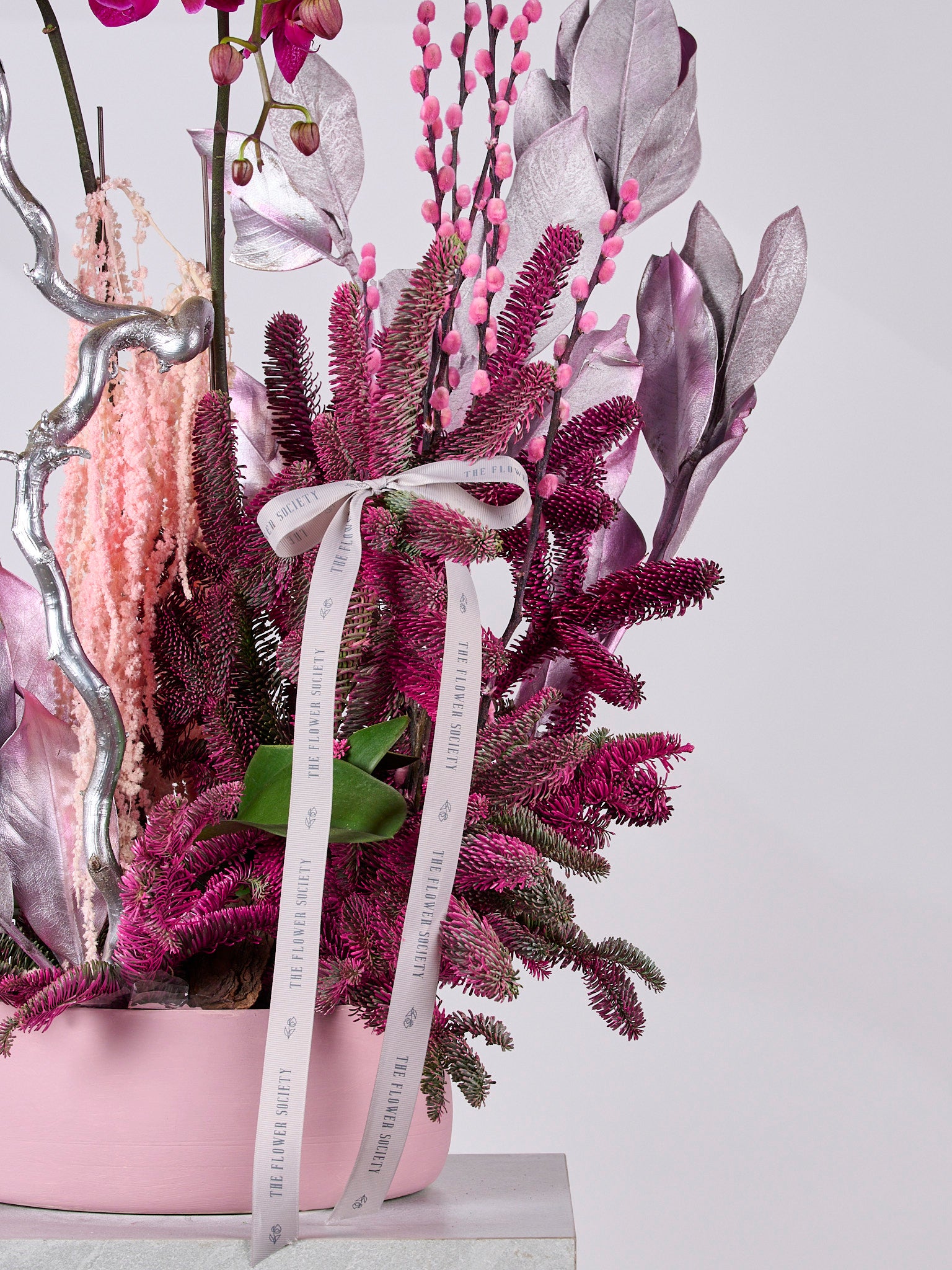 SUGARFROST JINGLEPOP