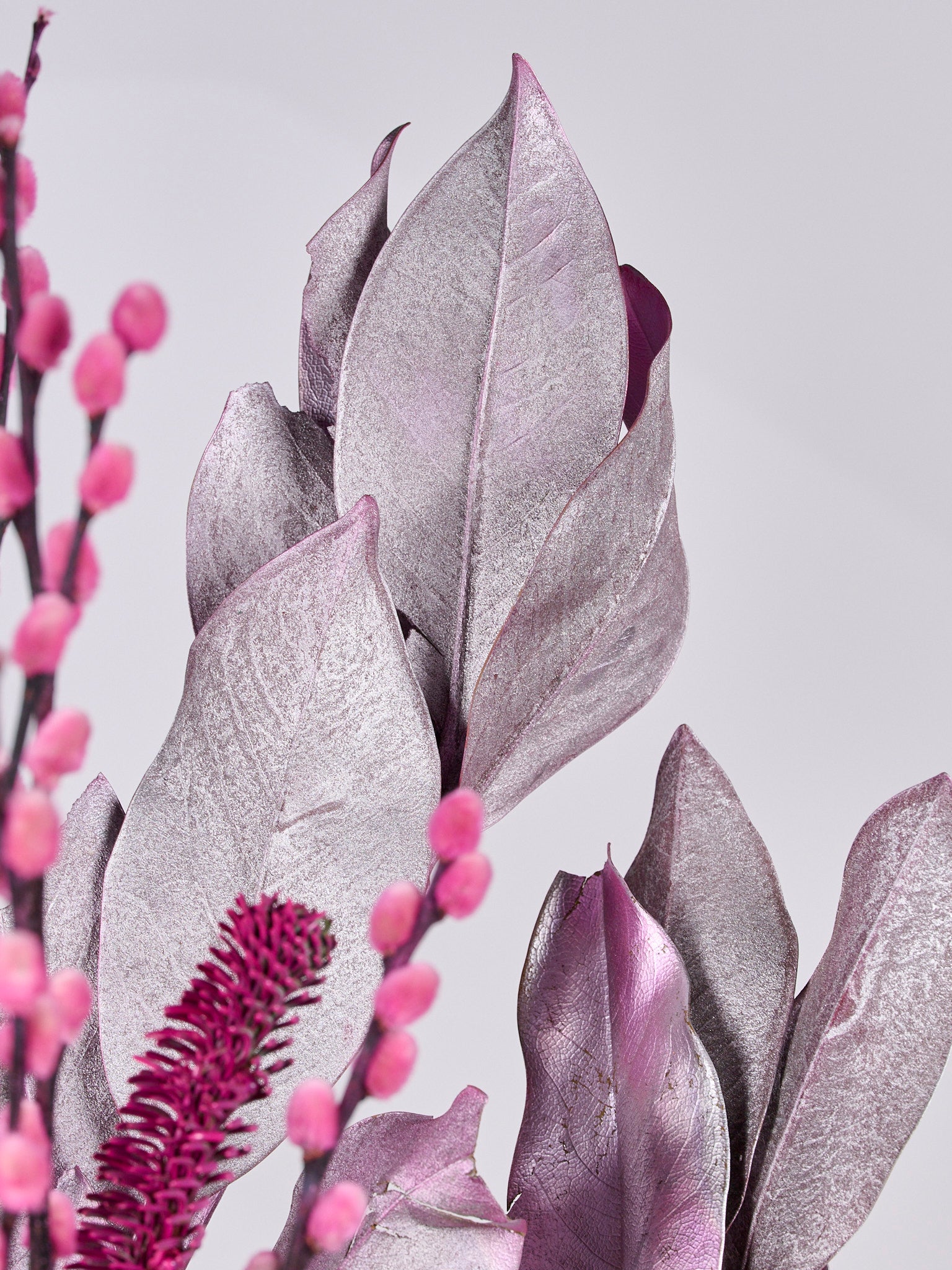 SUGARFROST JINGLEPOP