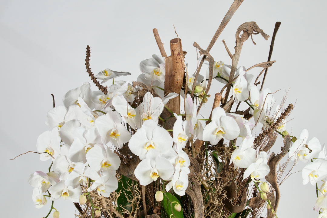 Woven Bloom Phalaenopsis orchid detail celestial white elegance Ramadan floral Dubai
