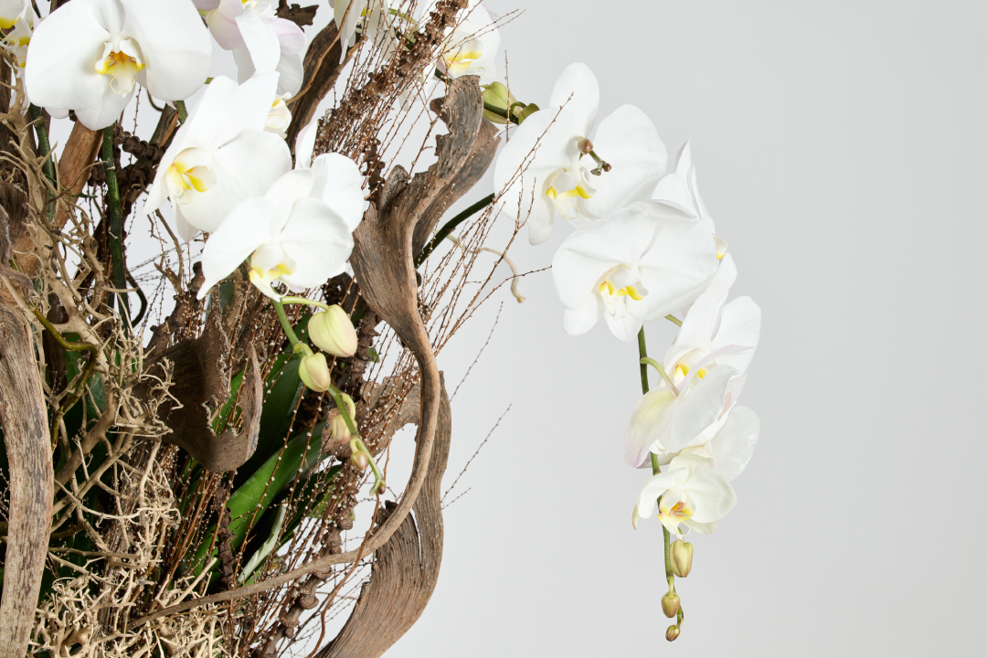 Woven Bloom white botanicals Salix side angle spiritual home installation UAE