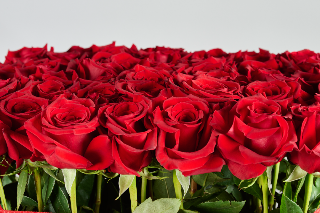 LA GRANDE BOITE DE ROSES (RED ROSES)
