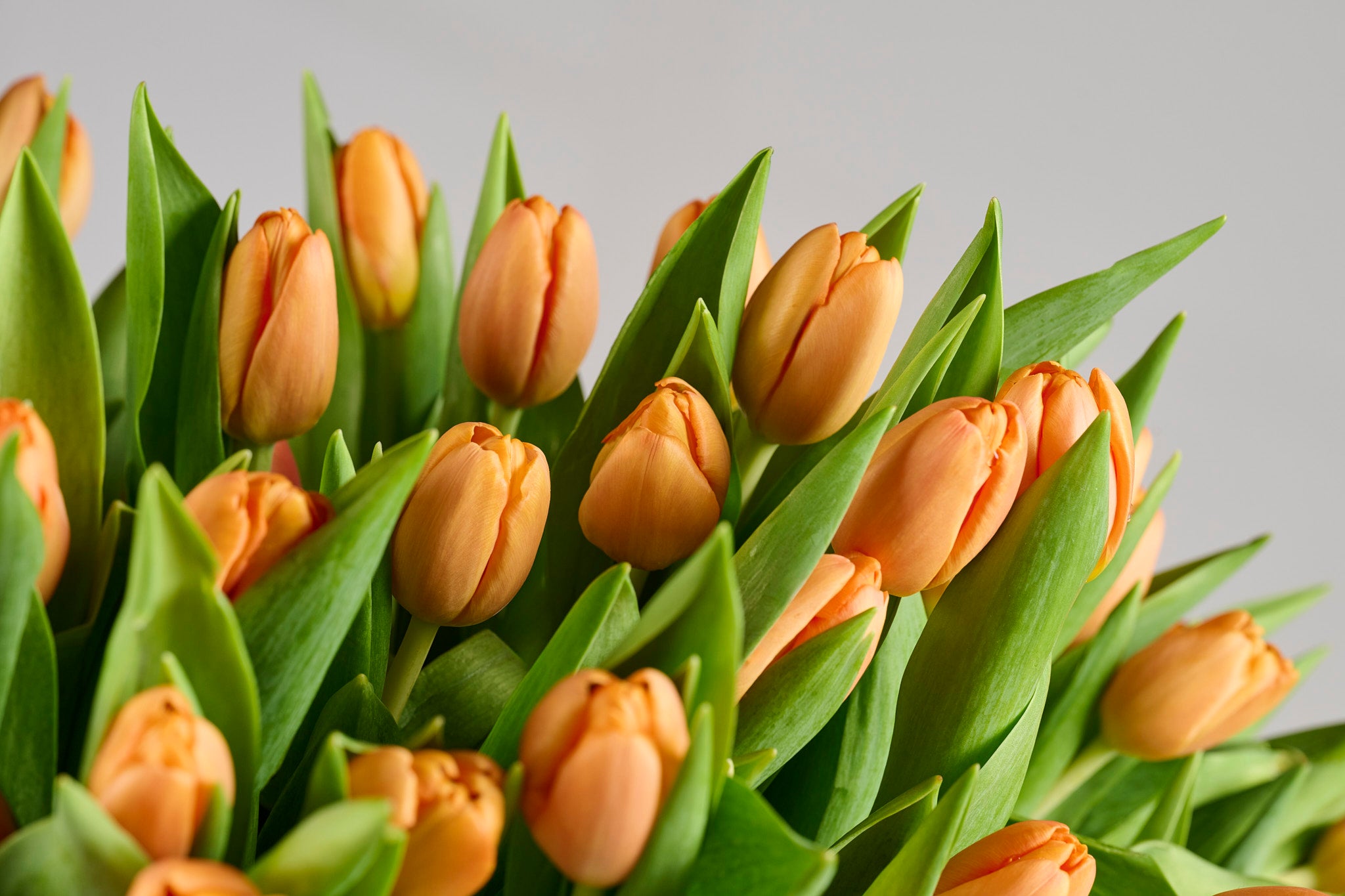 Elegant tangerine dream flowers Mother's Day - luxury orange bouquet online Dubai delivery