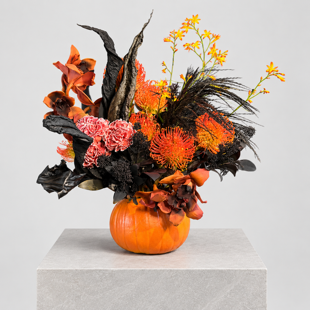 HALLOWEEN ORANGE BLACK