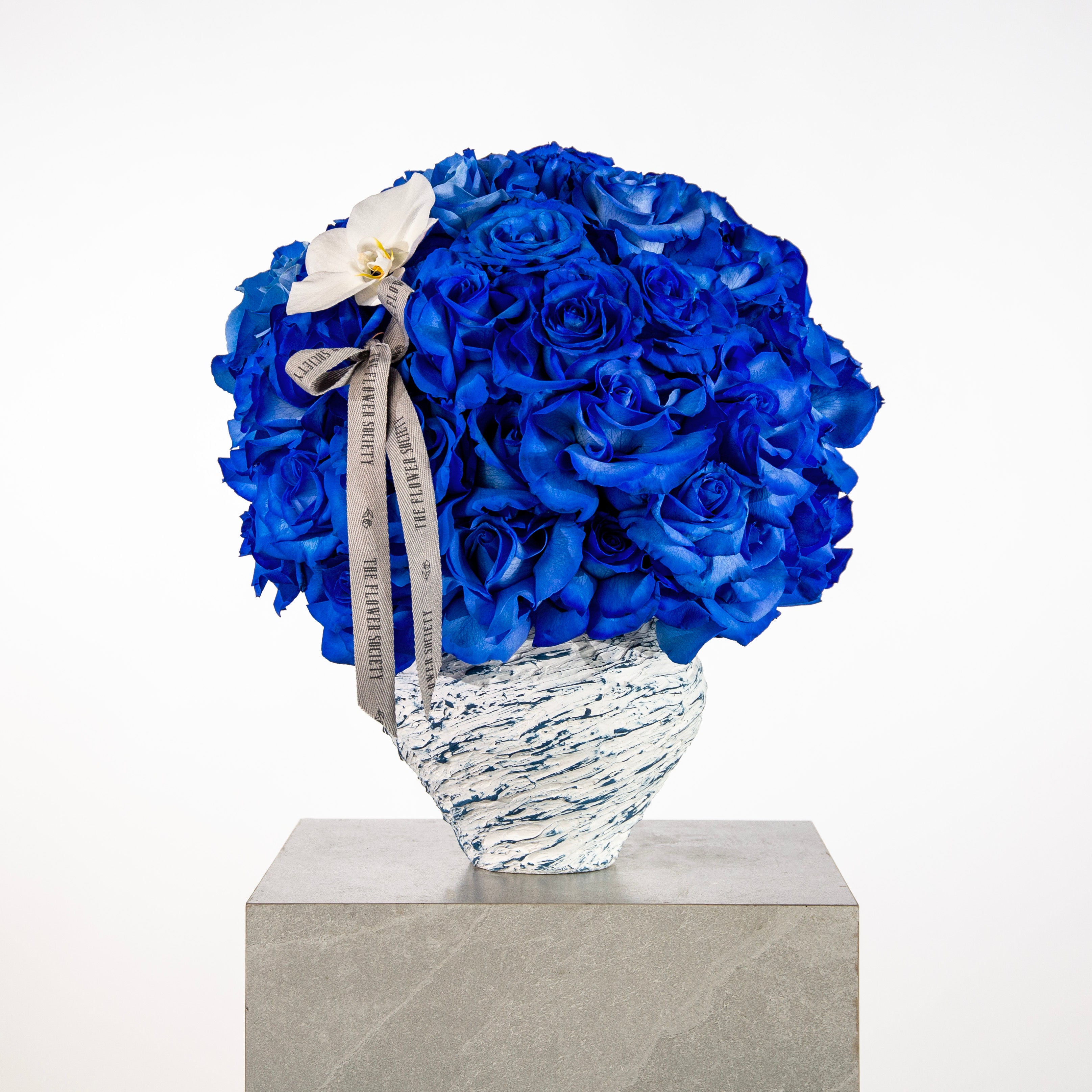 Blue roses phalaenopsis bloom 20cm clay pot - luxury blue flowers Dubai UAE gift delivery
