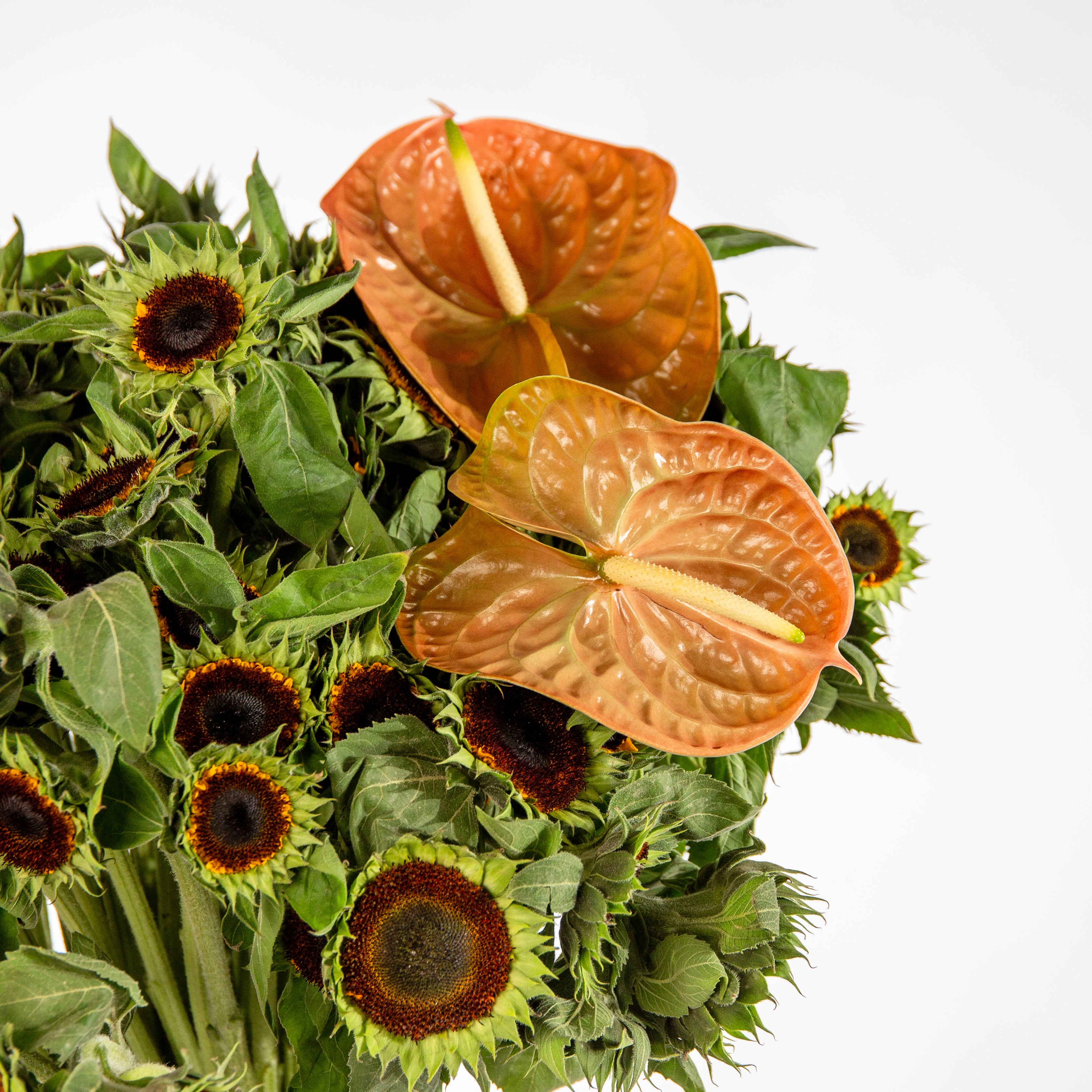 Sunflower floral installation - luxury peach flowers same day Dubai delivery