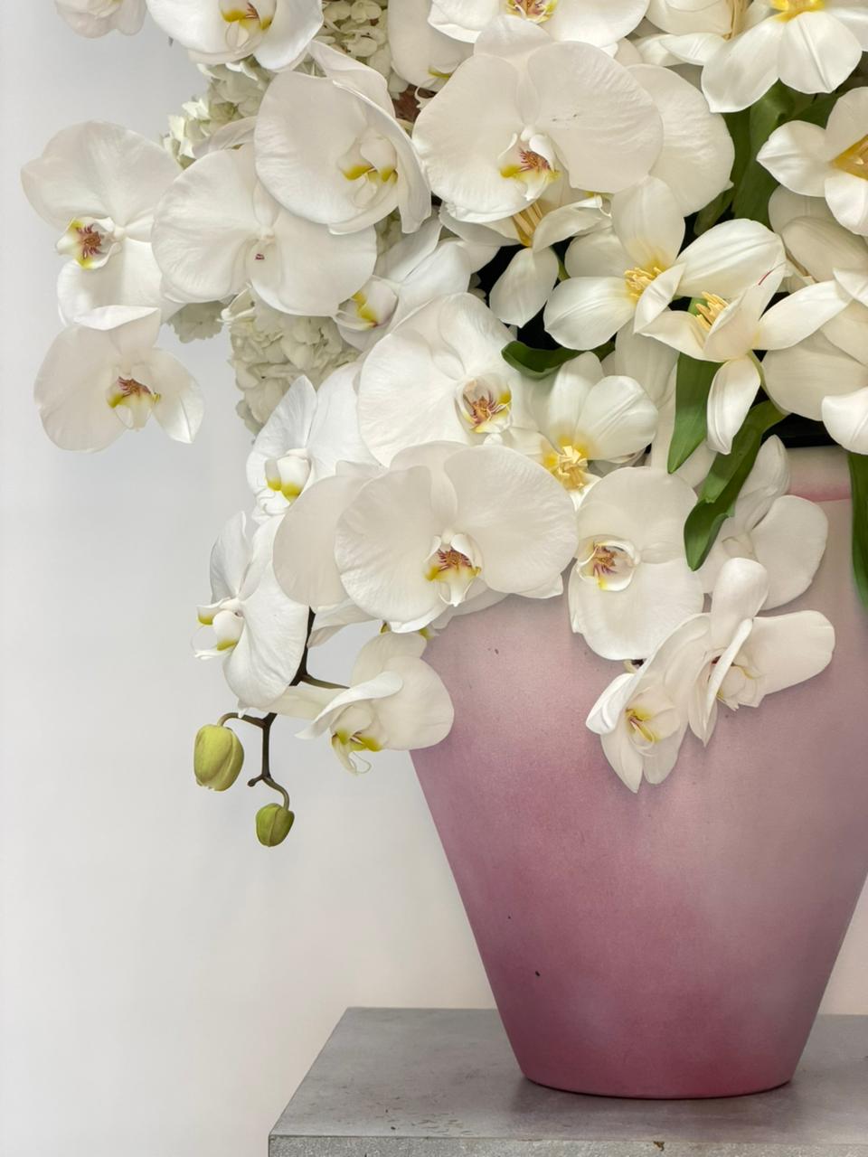 FULL BLOOM
