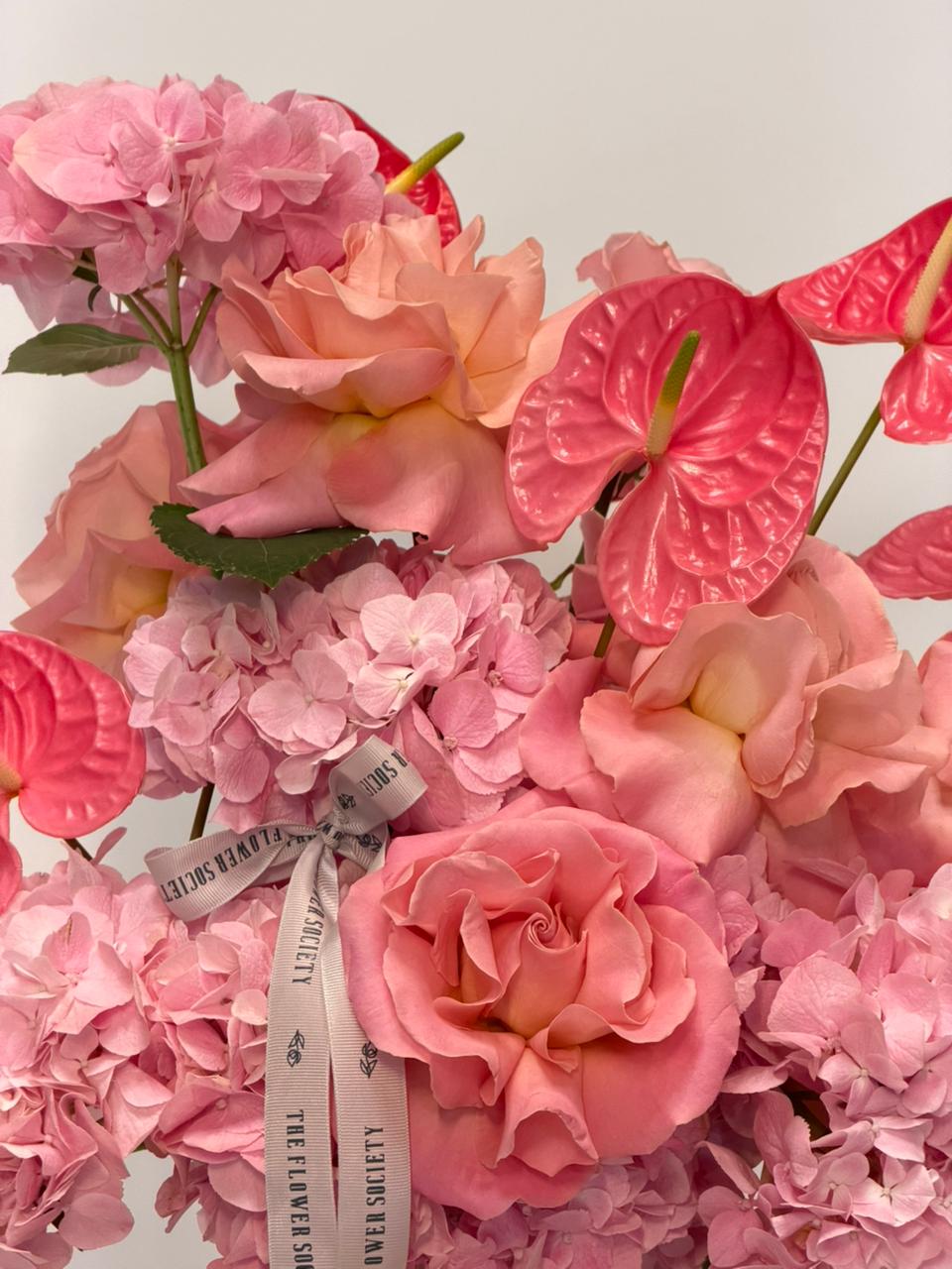 SOFT BLOOM