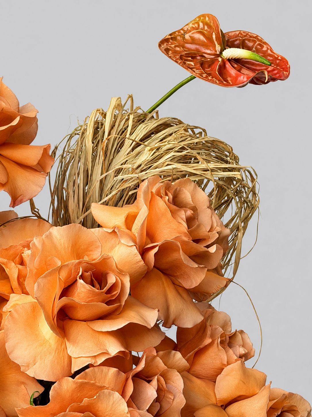 AUREA BLOOM