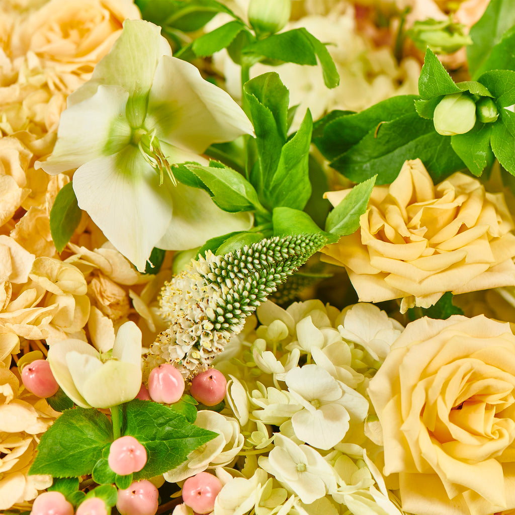 FLOWER POEMS