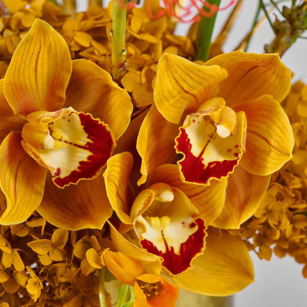 Shams Flower Vase