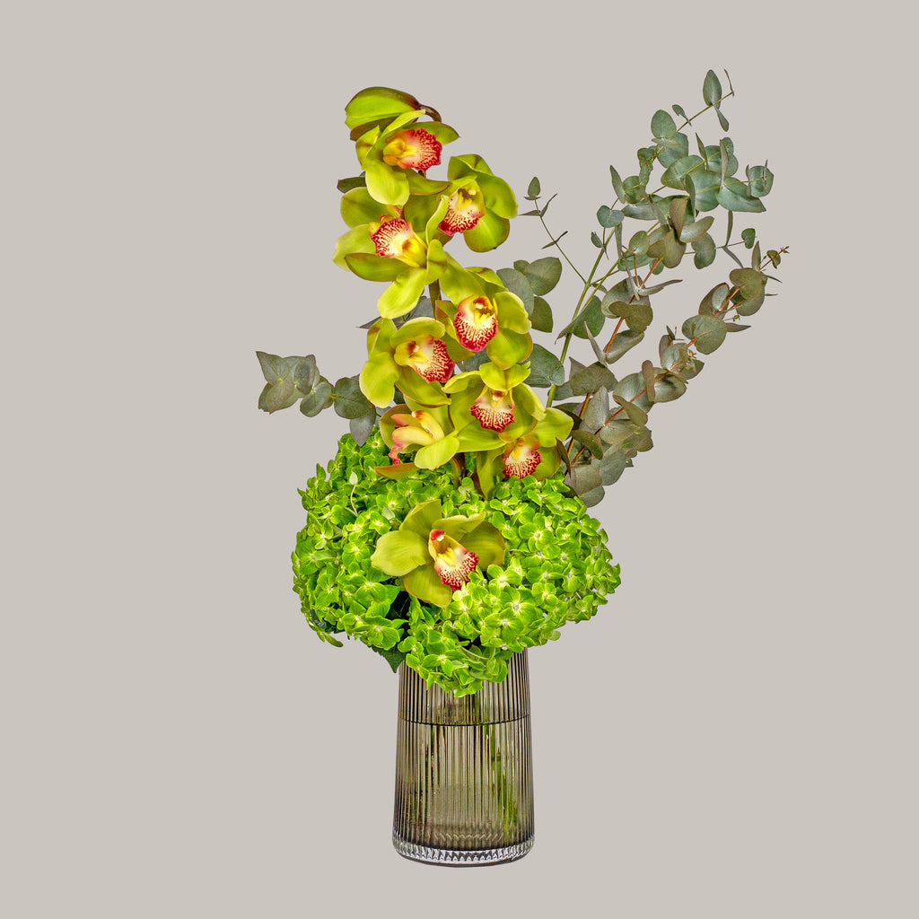 ORCHID CYMBIDIUM & HYDRANGEA GREEN