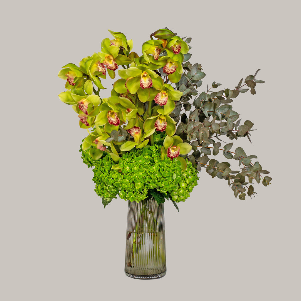 ORCHID CYMBIDIUM & HYDRANGEA GREEN