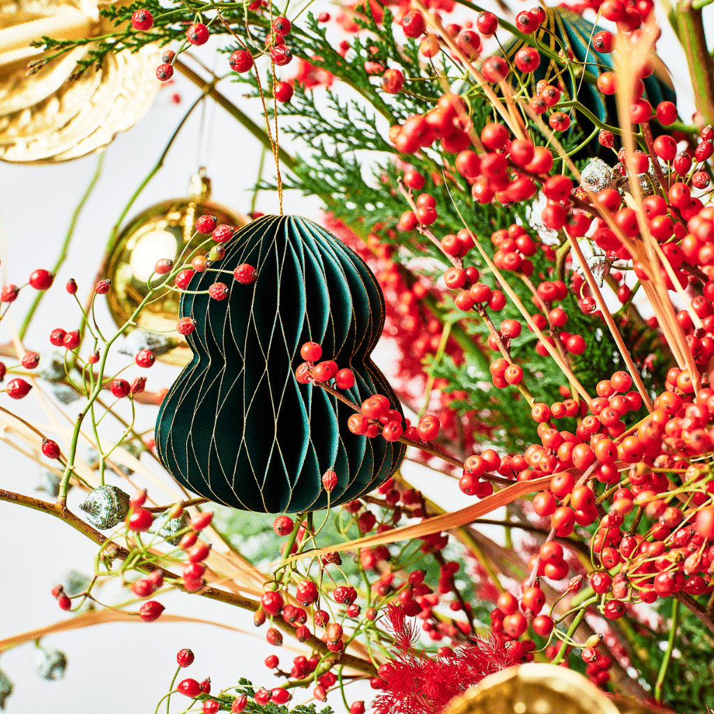 RUDOLPH