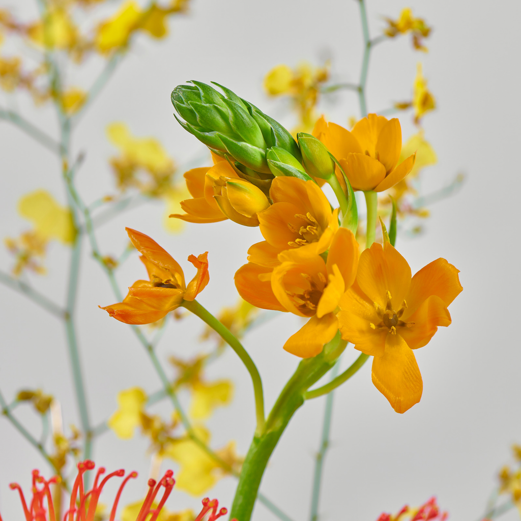 Shams Flower Vase