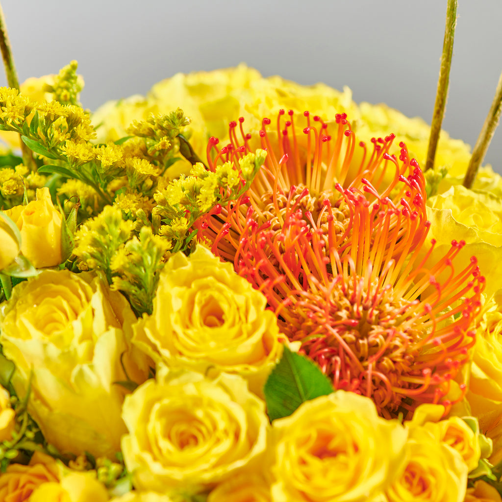 POP YELLOW