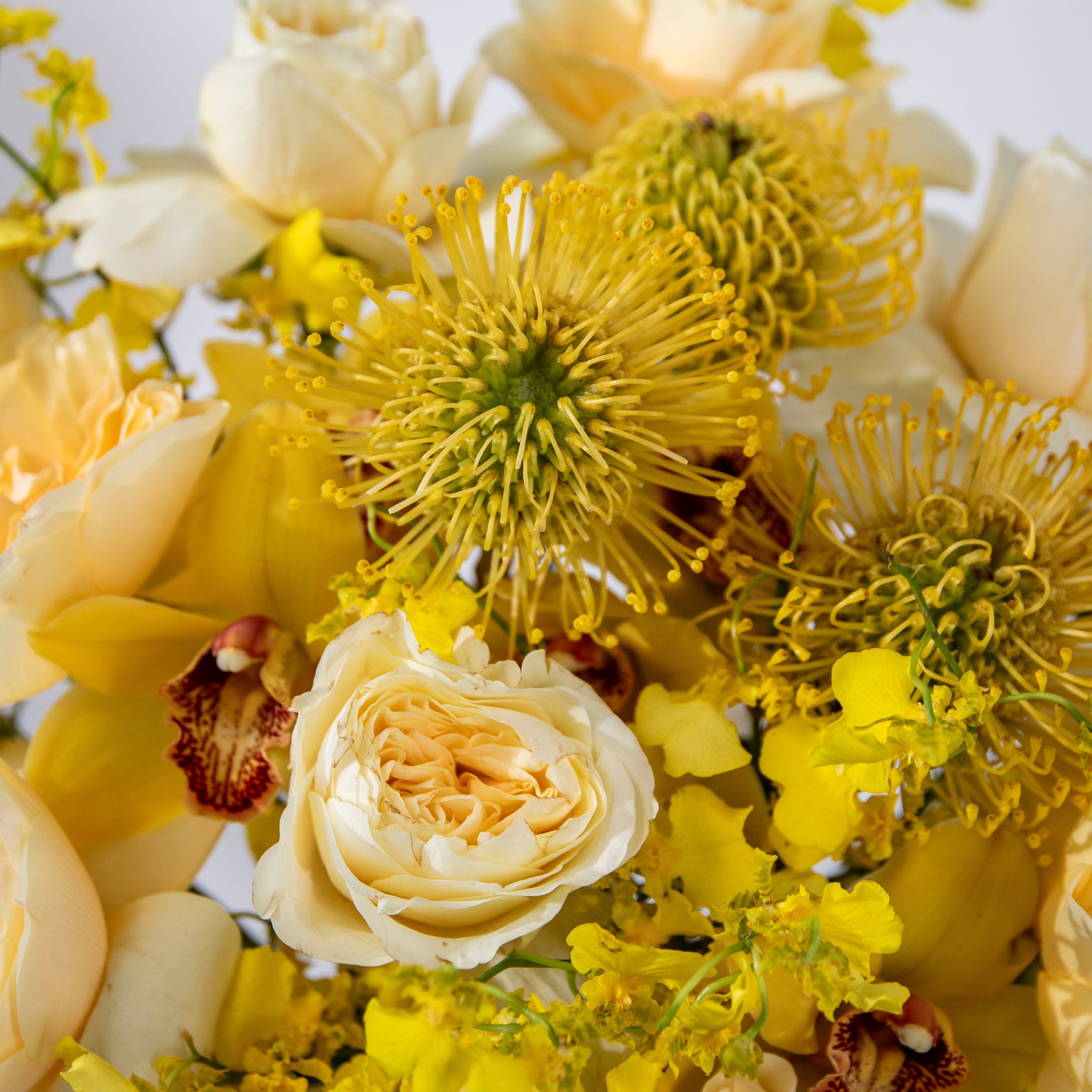 YELLOW SCENT