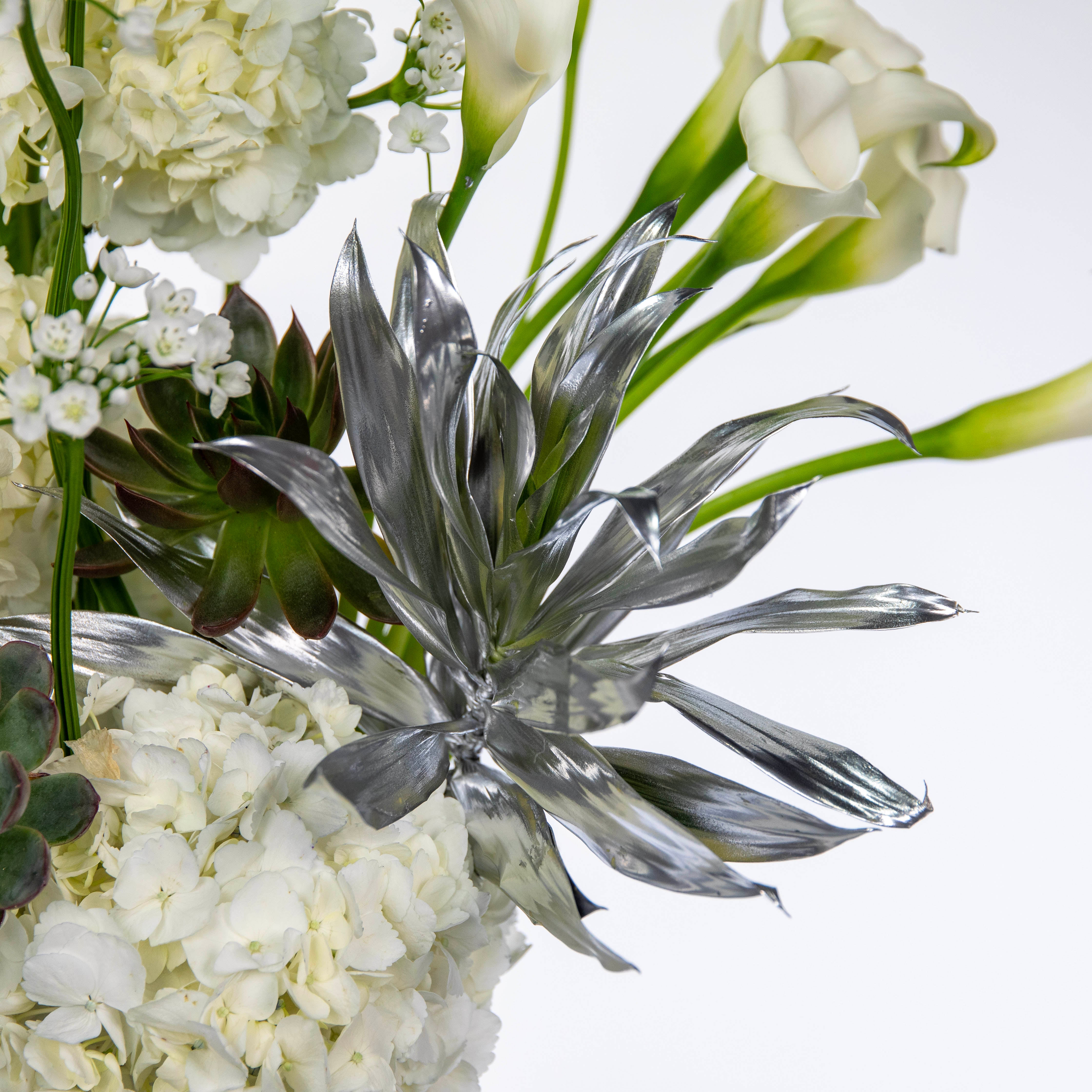 DREAMY WHITE