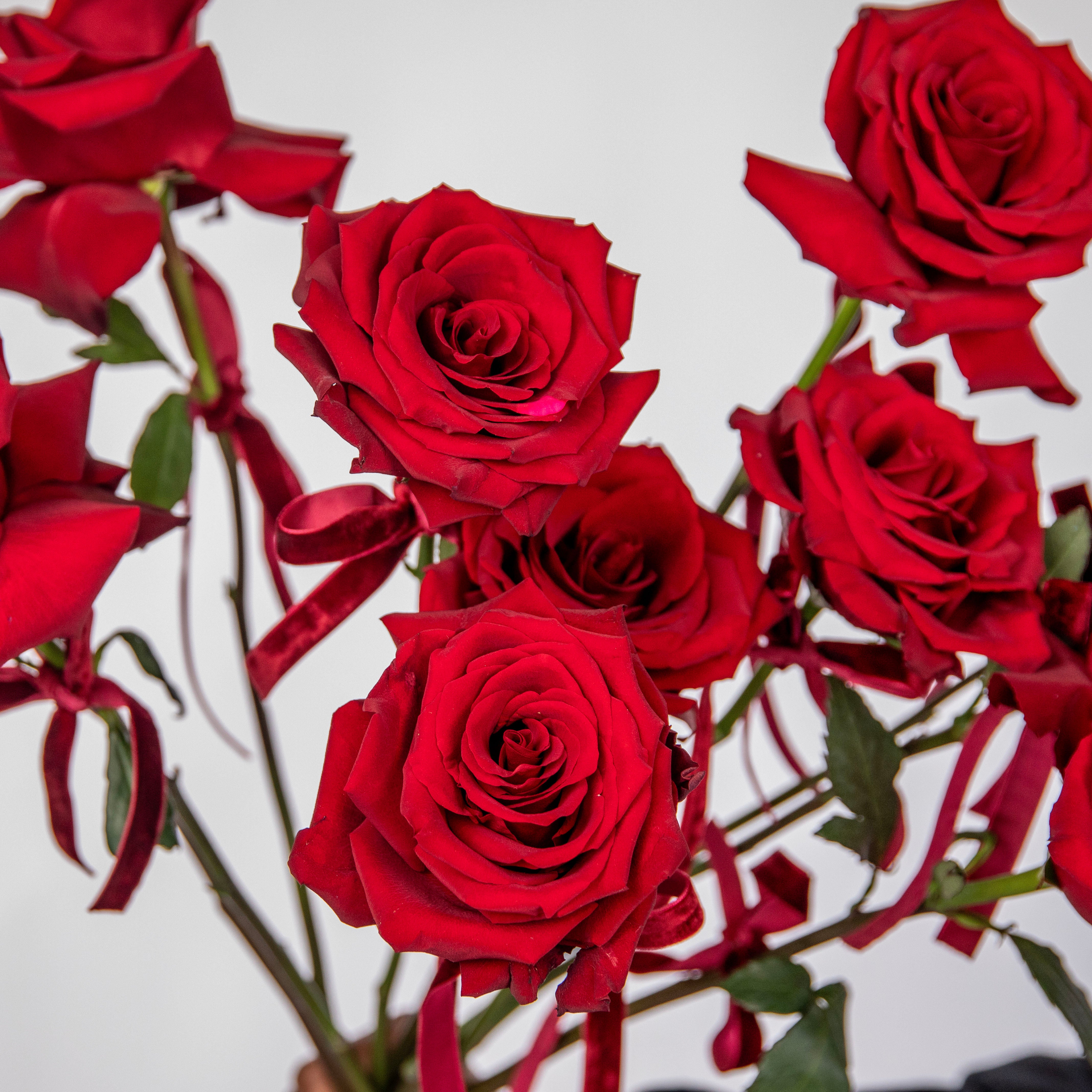 RED ROMANCE
