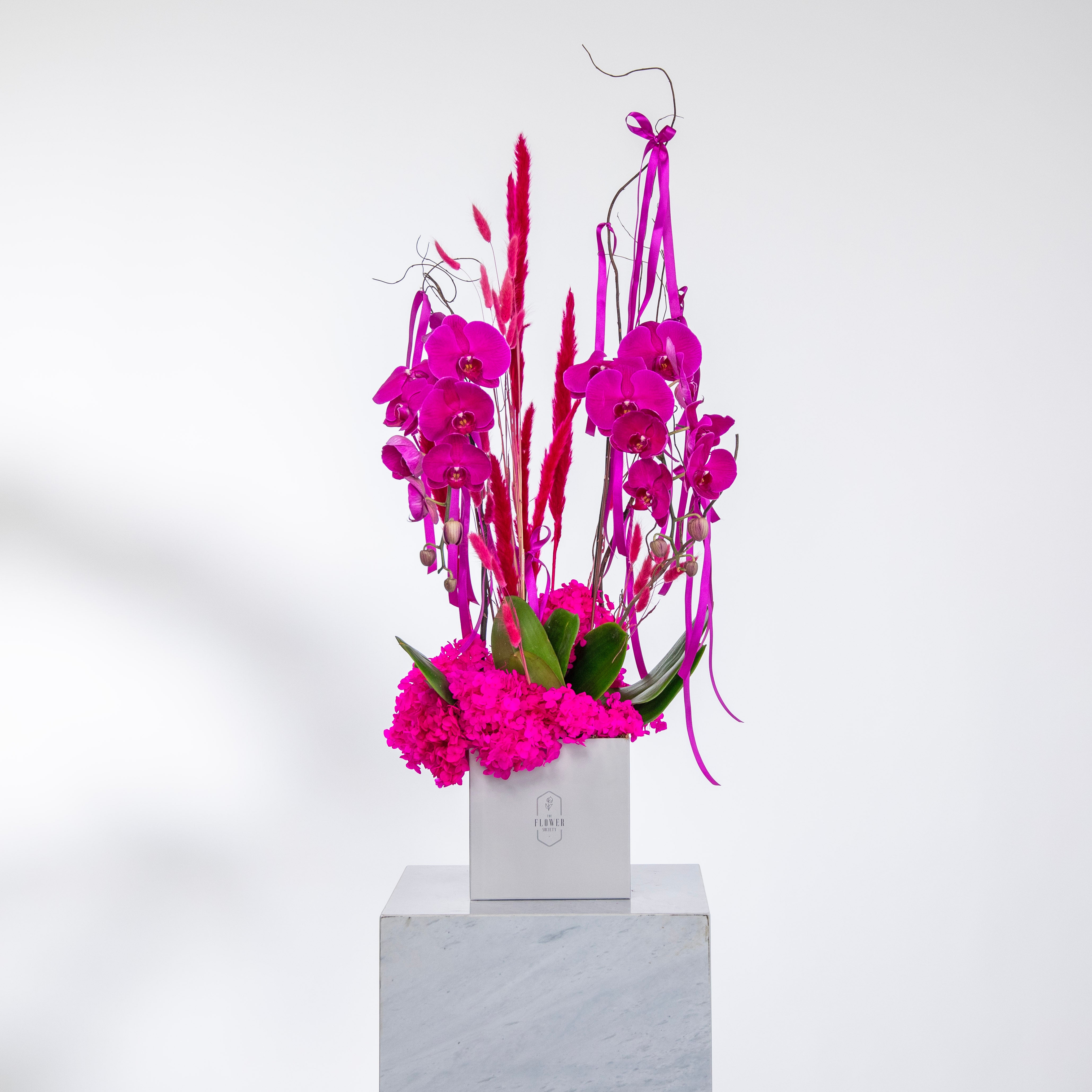 MISS FUCHSIA