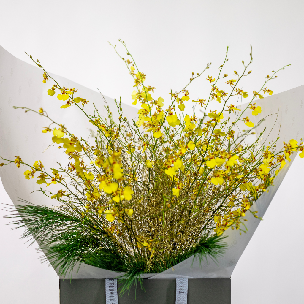 WINTER BLOOMS