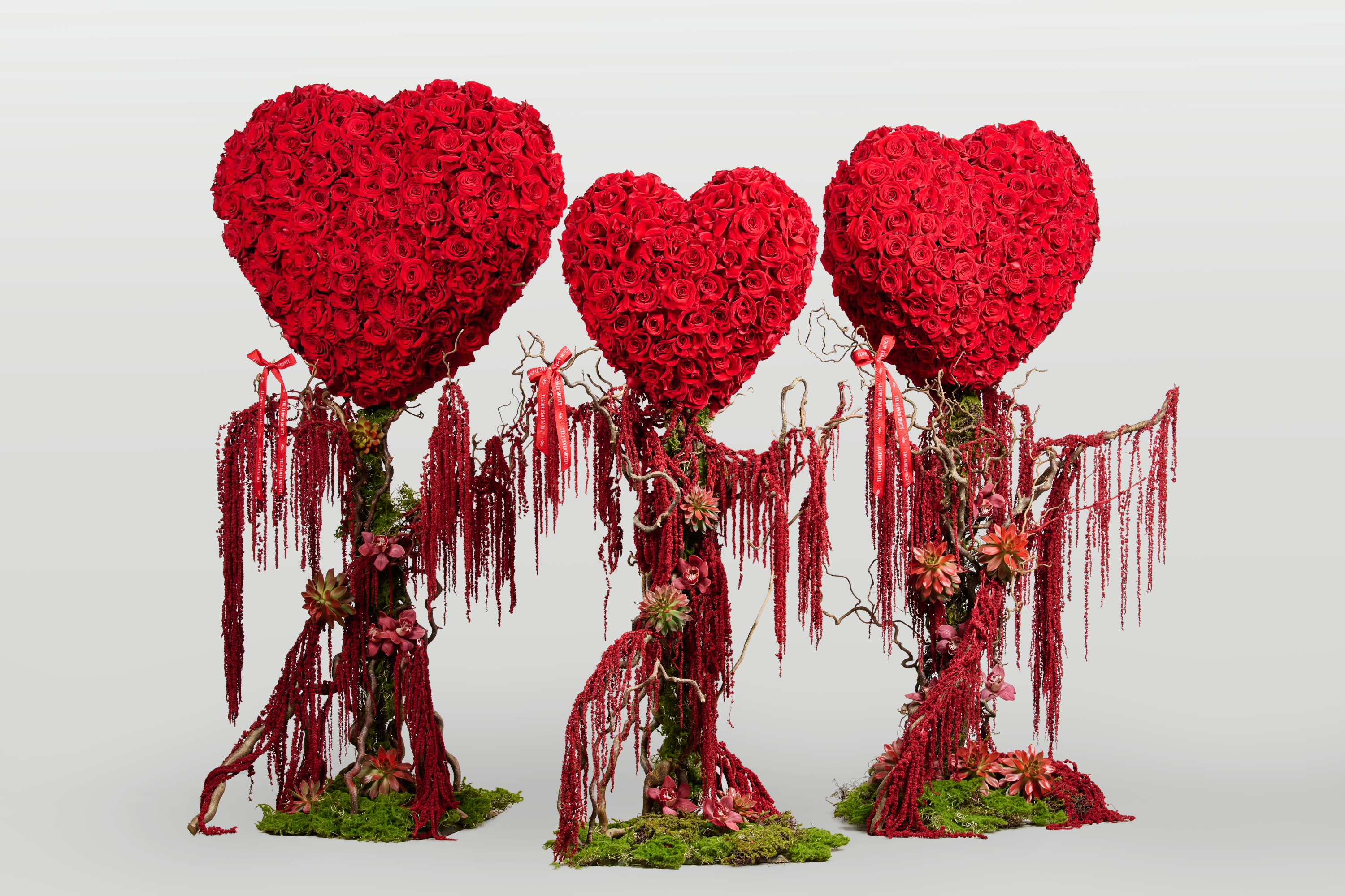 LOVE GROVE