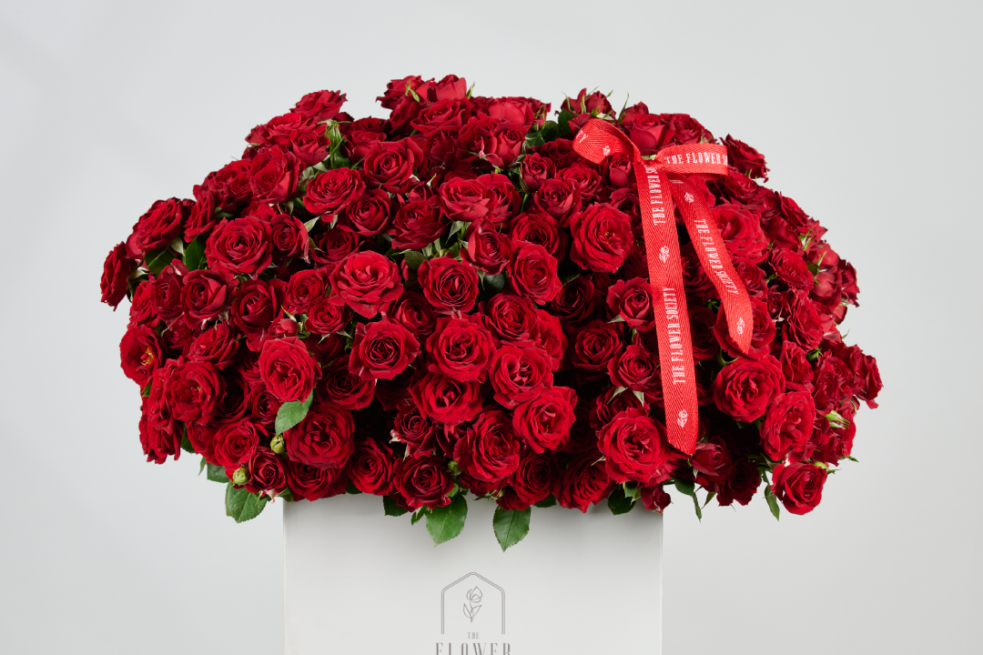 A RED CLASSIC PASSION