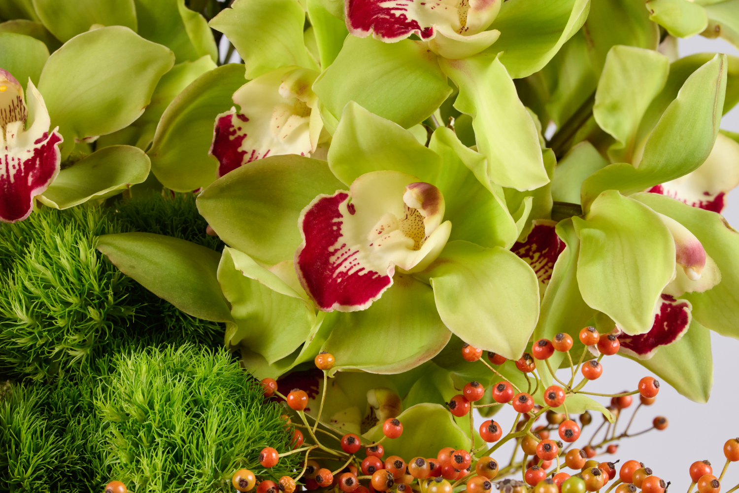 PISTACHIO BLOOM