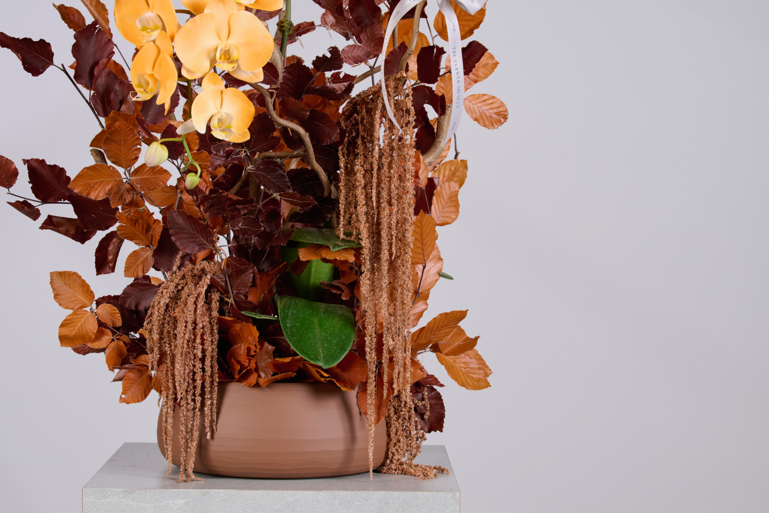 HONEY  AUTUMN
