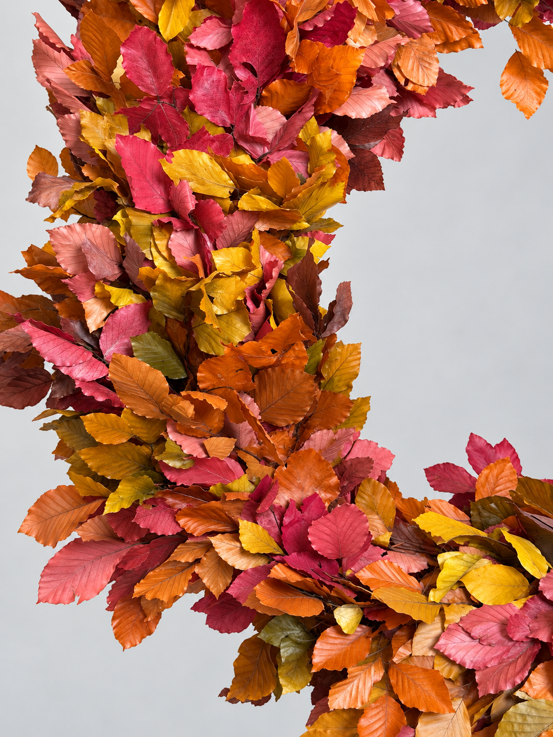 AUTUMN CROWN
