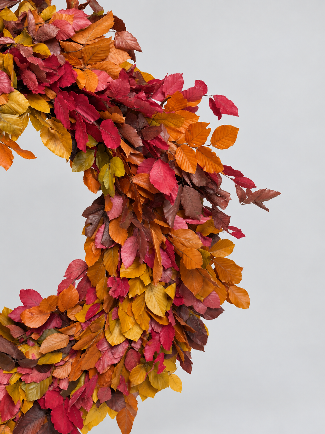 AUTUMN CROWN
