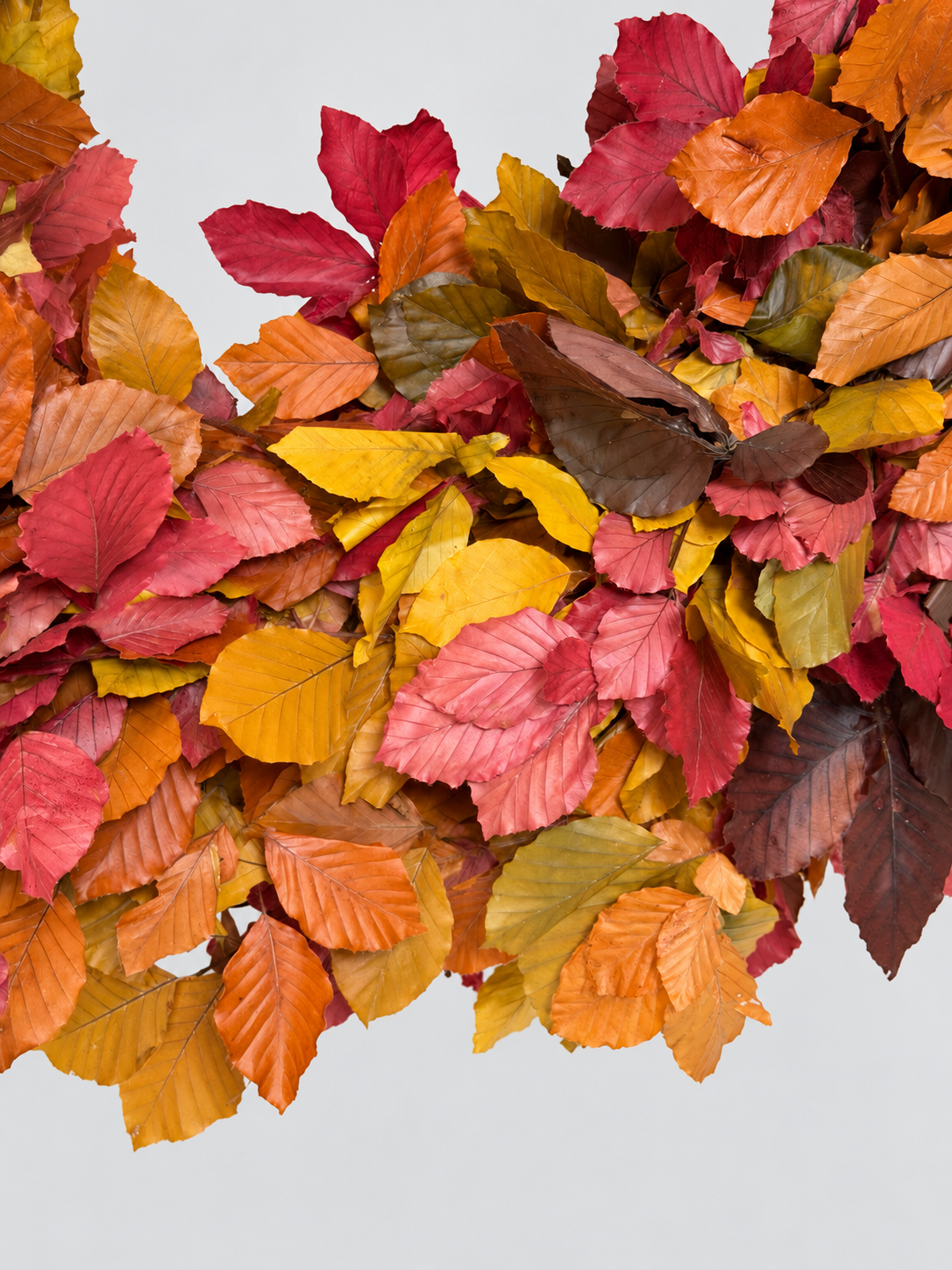 AUTUMN CROWN