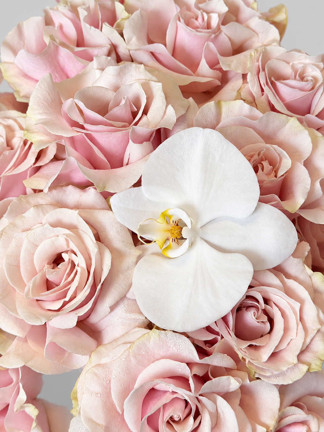 PINK ROSES BOUQUET