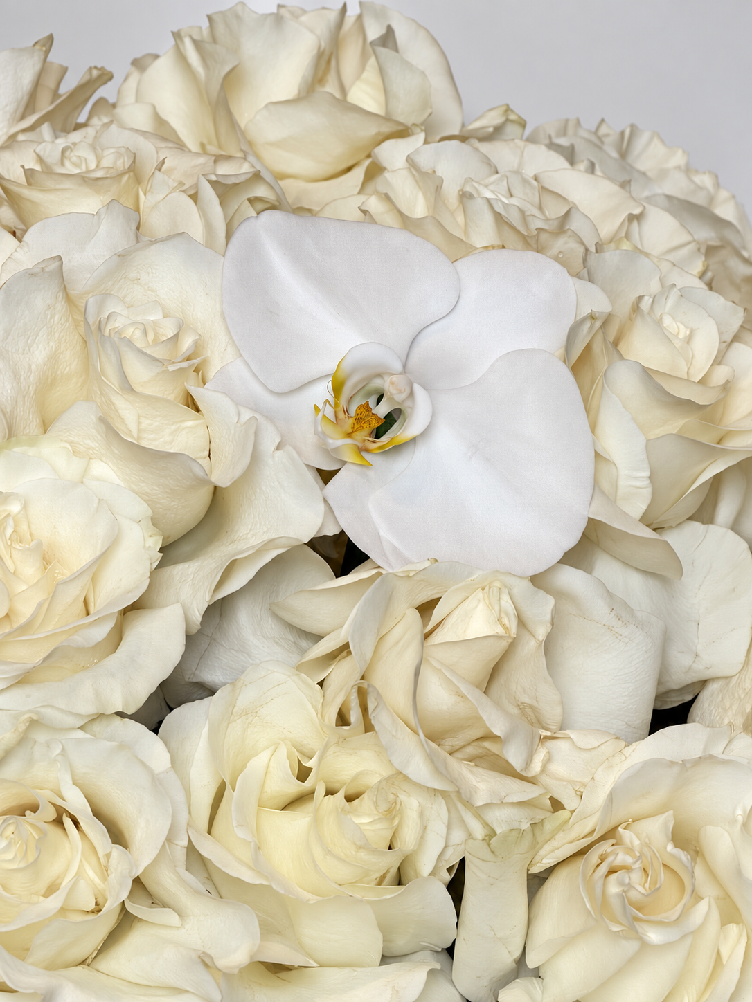 WHITE ROSES BOUQUET