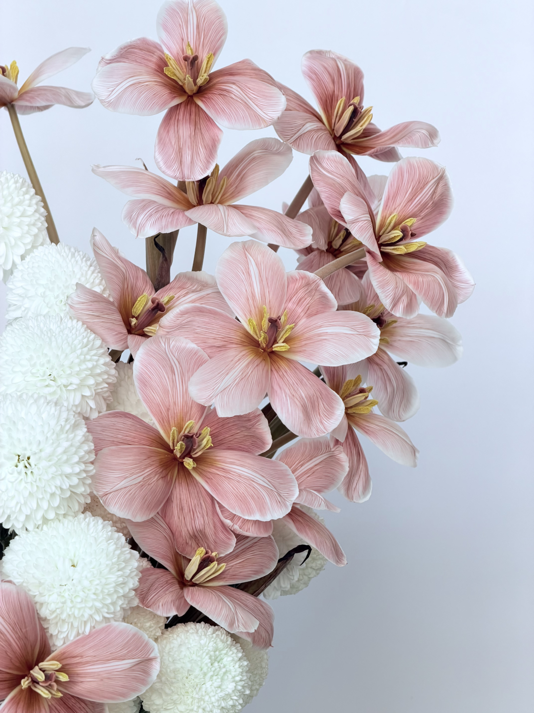 POWDER BLOOM