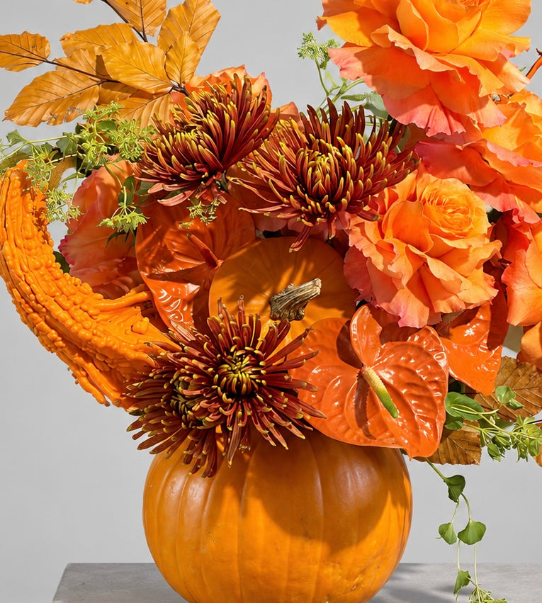 HALLOWEEN ORANGE