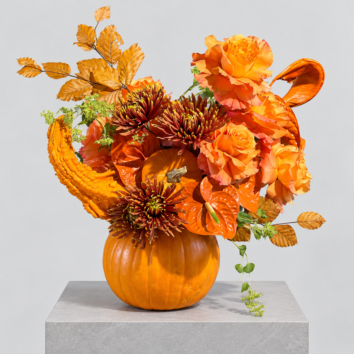 HALLOWEEN ORANGE