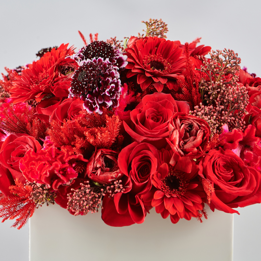 EXCLUSIVE RED